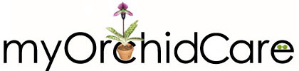 Orchid Care